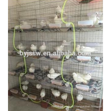 4tiers 16 cells 32 pigeons cheap pigeon breeding cage (factory)